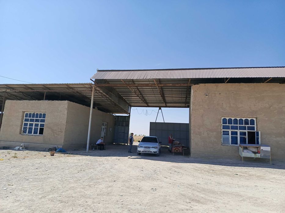 Ферма 3.5 Га город Каттакурган цена 450 000 уе торг есть