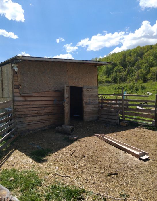 Продава се Парцел в с. Рашка Гращица, Област Кюстендил - 11000 кв.м за 2 €/кв.м - Снимка #4