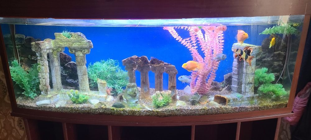 Аквариум продается.
