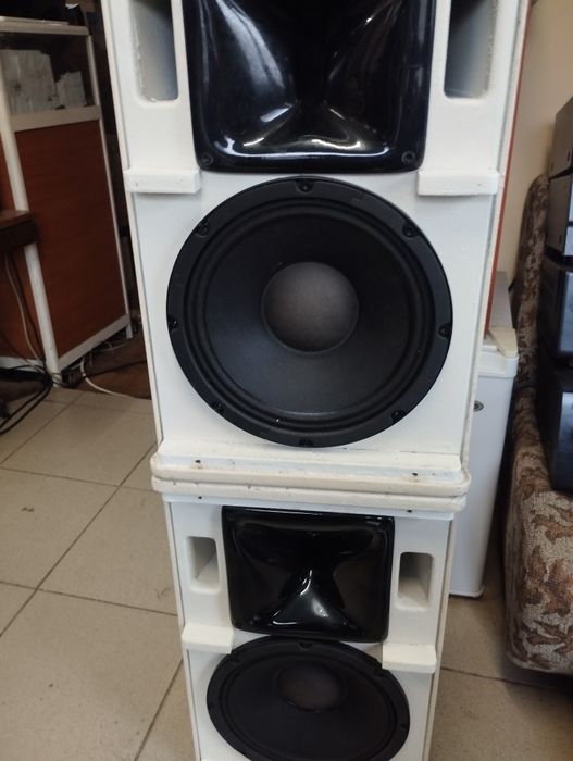 AUDIOPHONY S10W 10 инчови топове