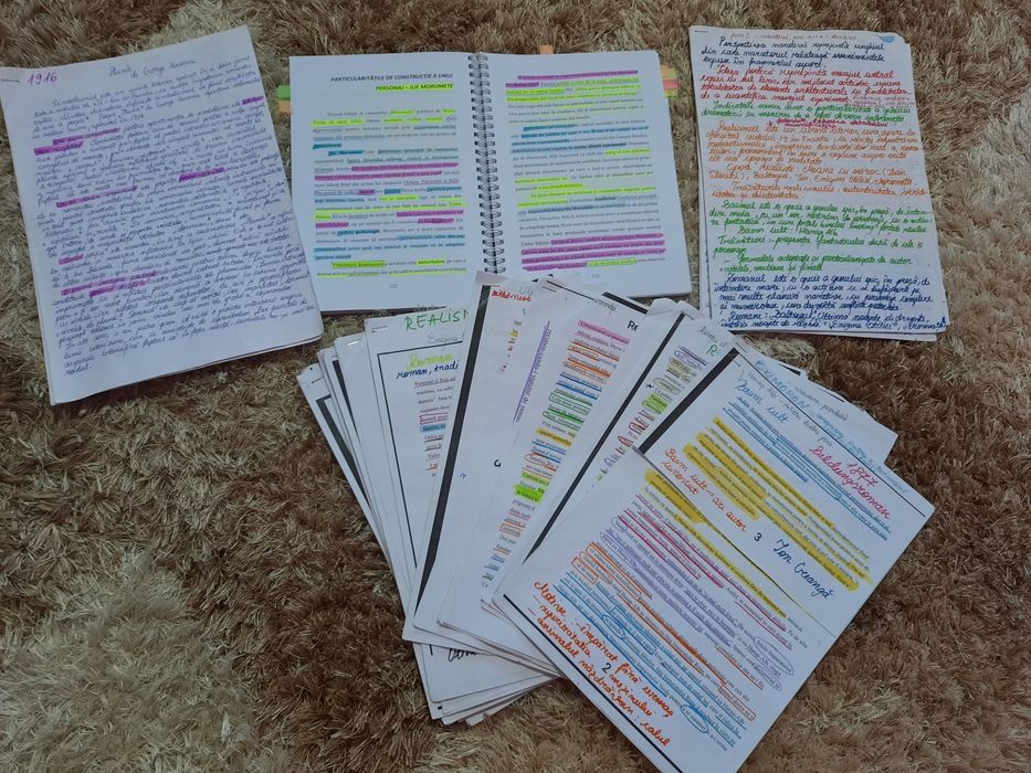 Vând carti pentru bac ,pot oferi și pdf