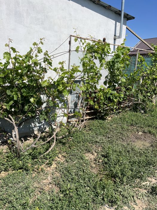 Продам  частный дом  район Рыбник
