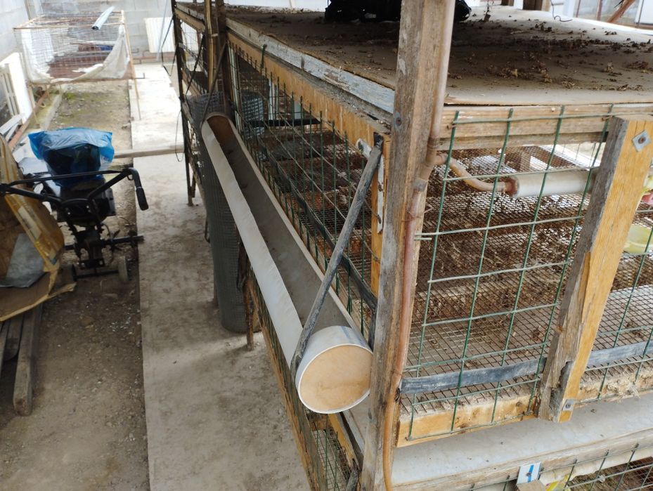 Клетки для бройлеров