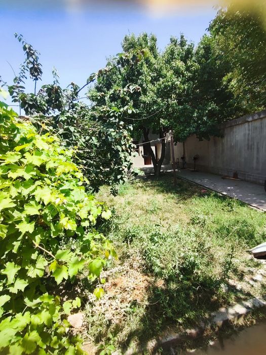 Keles Massivda Damazlani kanechkasi 1.7sotih