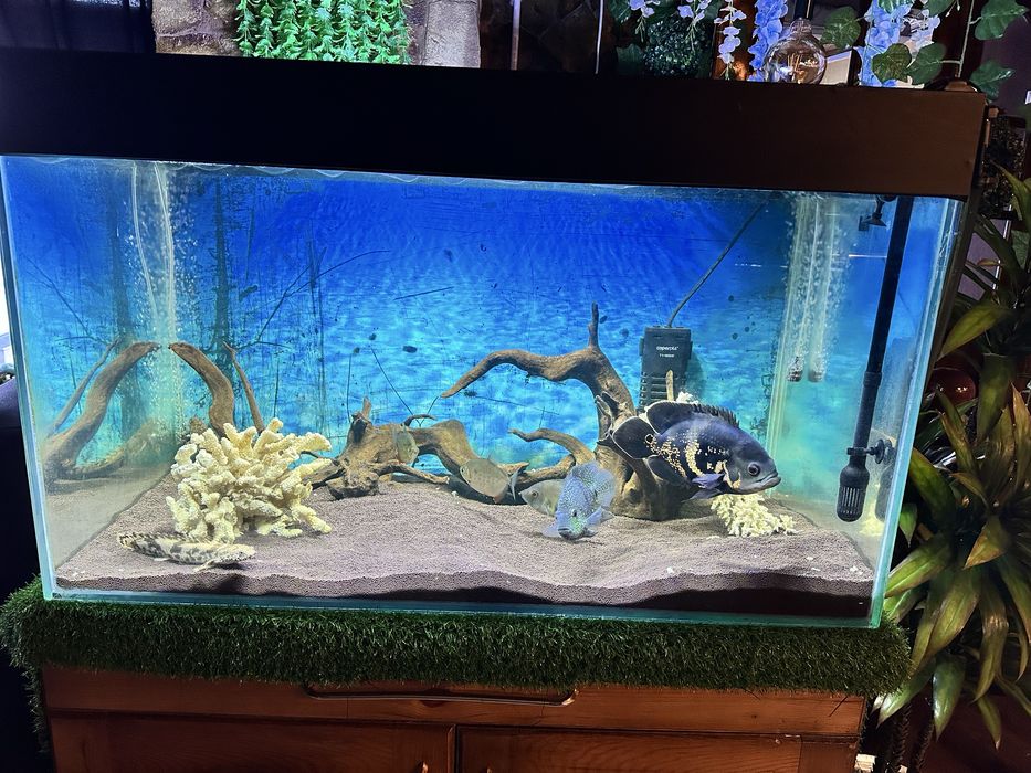 Продам аквариум!