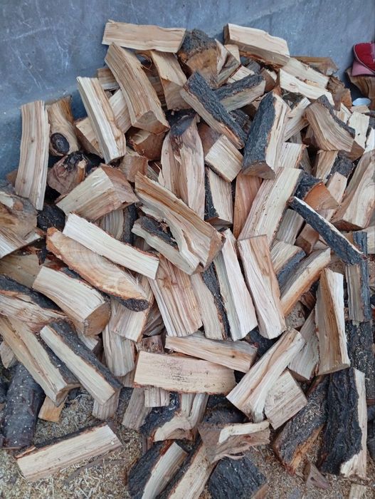 Утин Дрова  Отин O'tin 100000 Минг