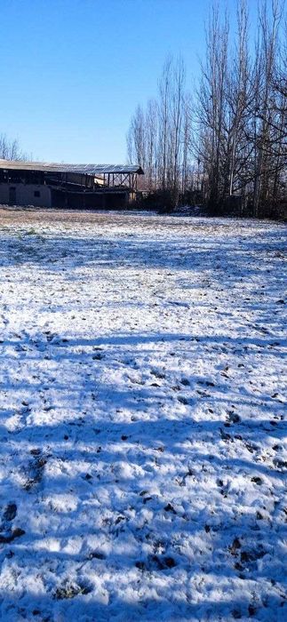 uy joy sotiladi yer xisobida 29 sutik