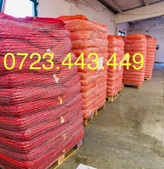 ARPAGIC Olanda En-Gros