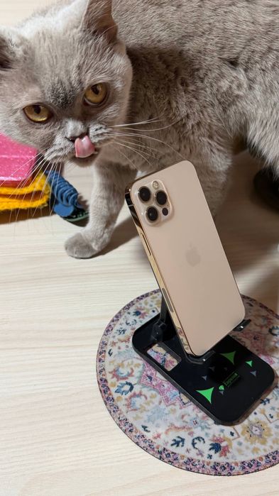 Iphone 12 Pro 512 GB