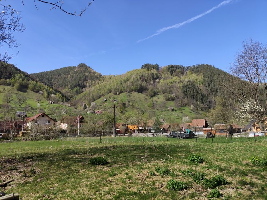 Teren Râu Sadului