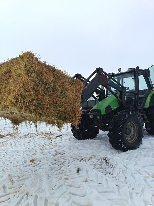 Baloti lucerna calitatea 1