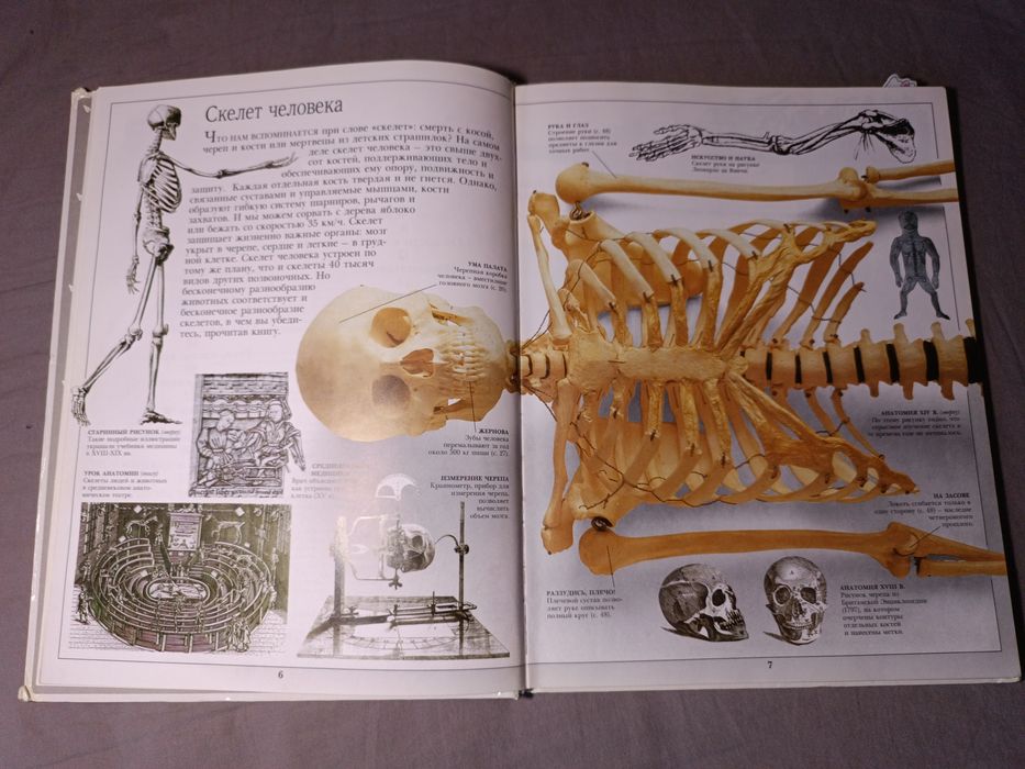 Книга о скелетах