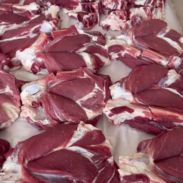 Qoy Qõchqorla sotladi  gõshtini kilos 140.000 mingdan xizmatlari ichda