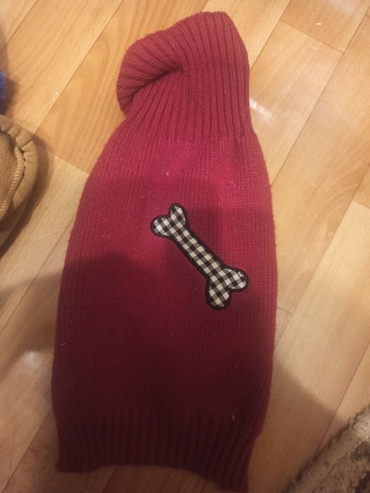 Вещи для собаки всего за 5000