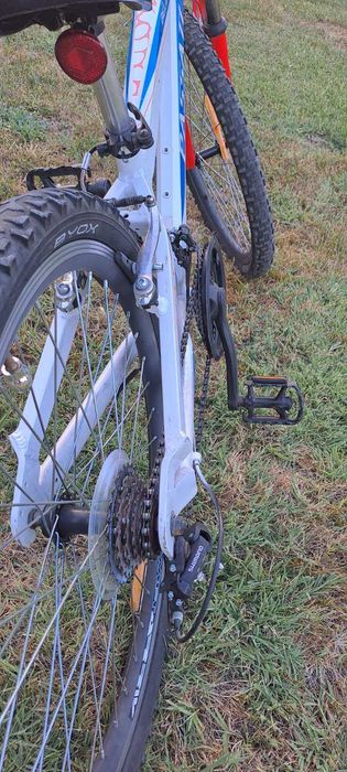 Детски велосипед PASSATI BELENO 24"