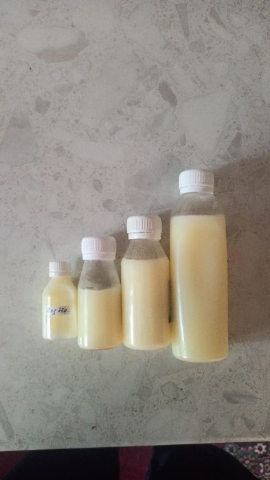 Г'оз ёг'и (оригинал)