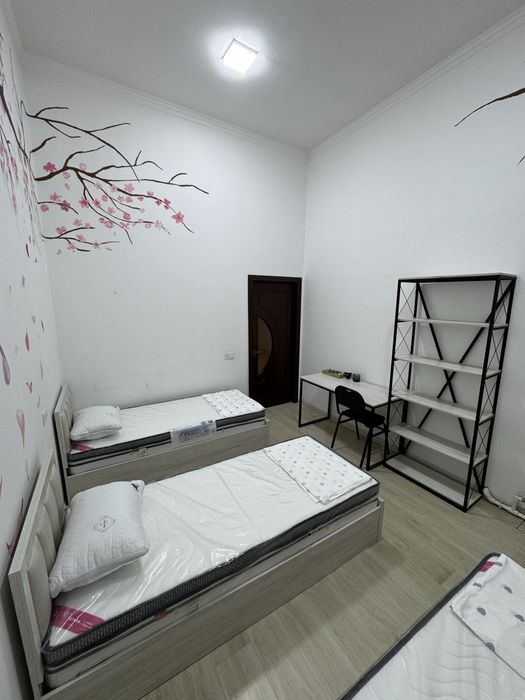 Hostel/mehmonxona/xostel/arzon hostel/hotel