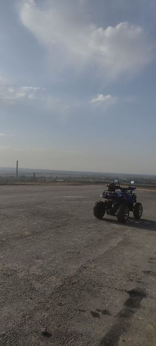 Квадроцикл гризли 200