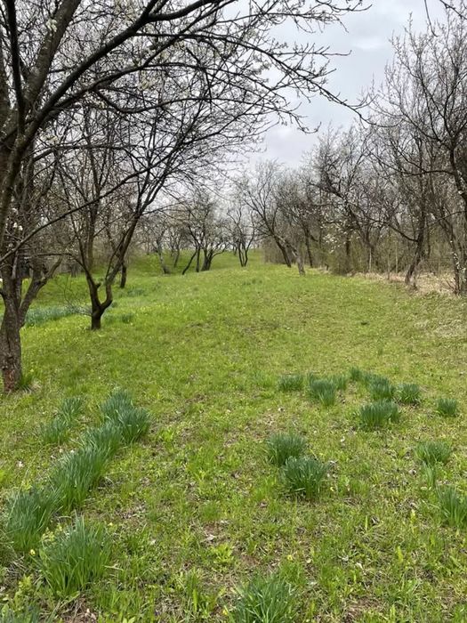 Teren de vanzare in Comarnic