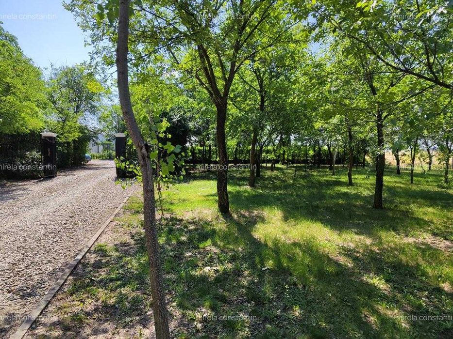 Loturi constructie intre 80-95 Euro/mp - Afumati, Strada Padurii