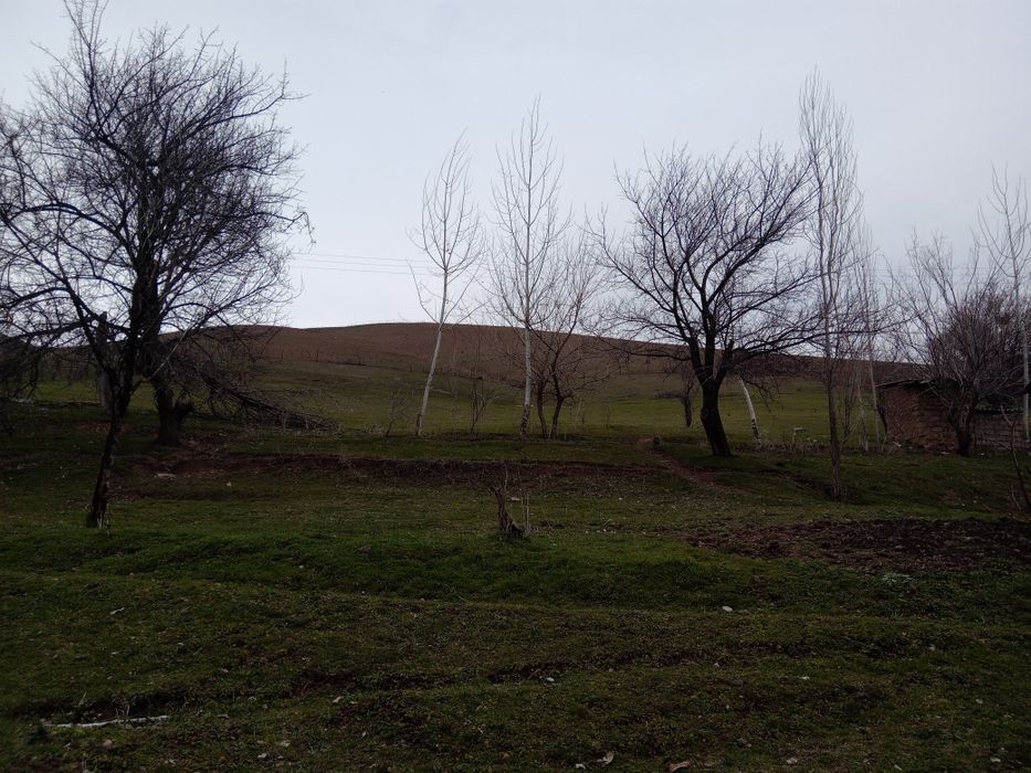 ANGREN SHAHAR QATAGON mahallasidan 18 sotiq yer sotiladi