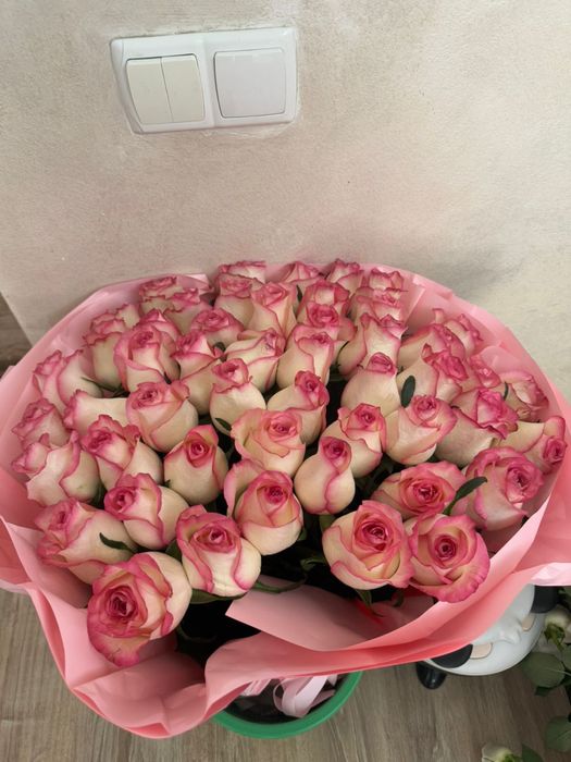 Розовые Свежие Розы