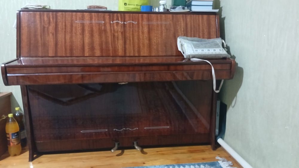 Пионинв музыкальная