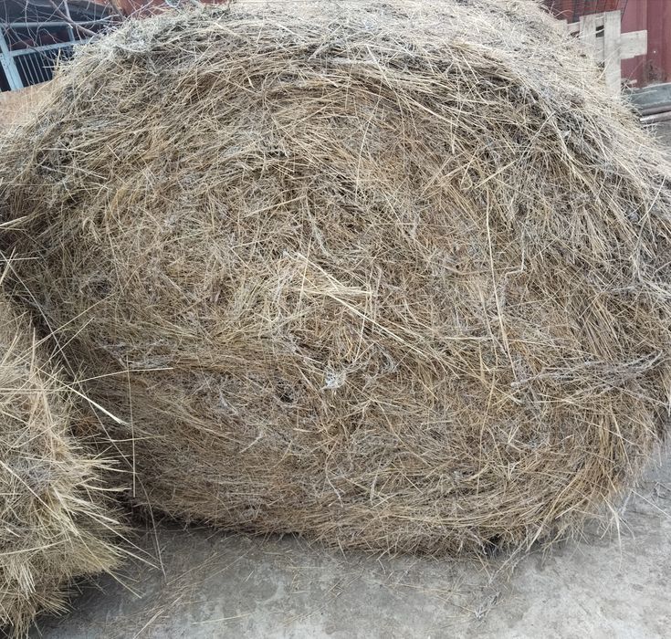 Рулон шөп сатылады