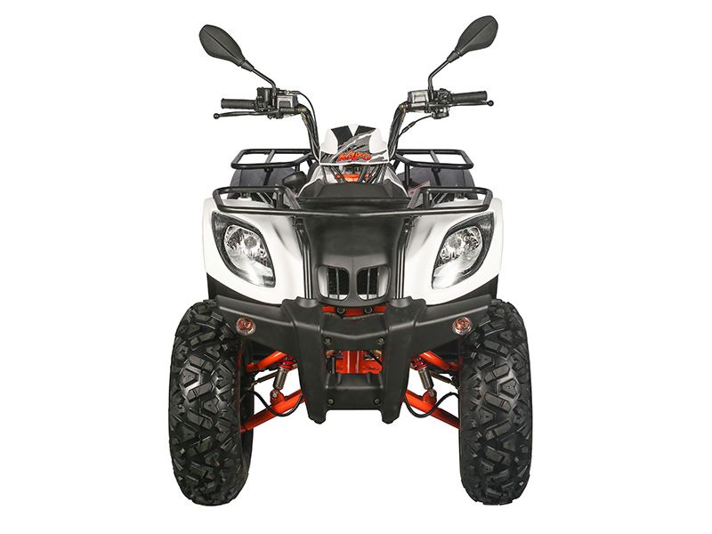 KAYO - ATV AU200 inmatriculabil T3b atv