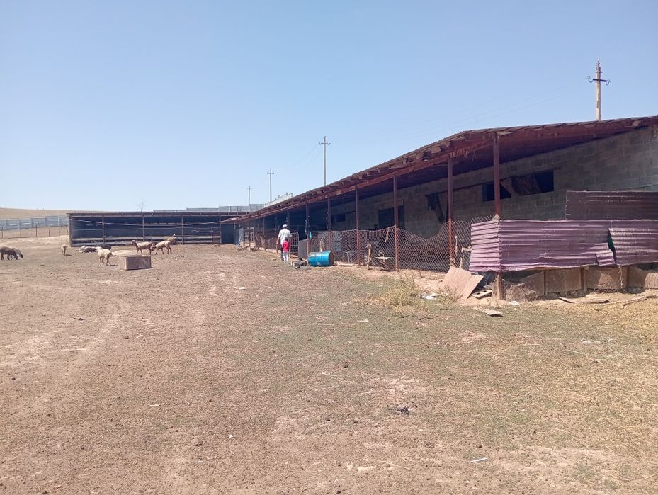 Фазенда 1 гектар