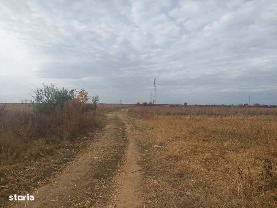 Teren dezvoltare rezidentiala / industriala - Dumbrava - comision 0%!