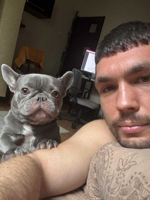 Cazare și Îngrijire Animale – Harmony Pets, zona Tineretului