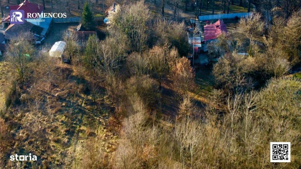Teren Mihaesti la poarta poarta Parcului Dendrologic - DN73