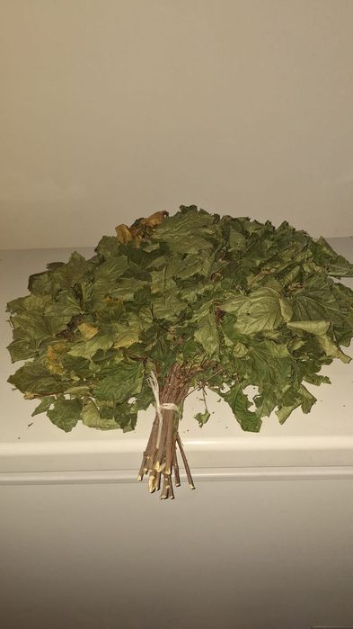 Оптом продам веники, клен и солодка