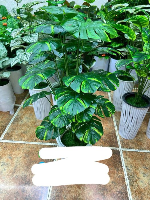 maktab uchun gullar skidkada