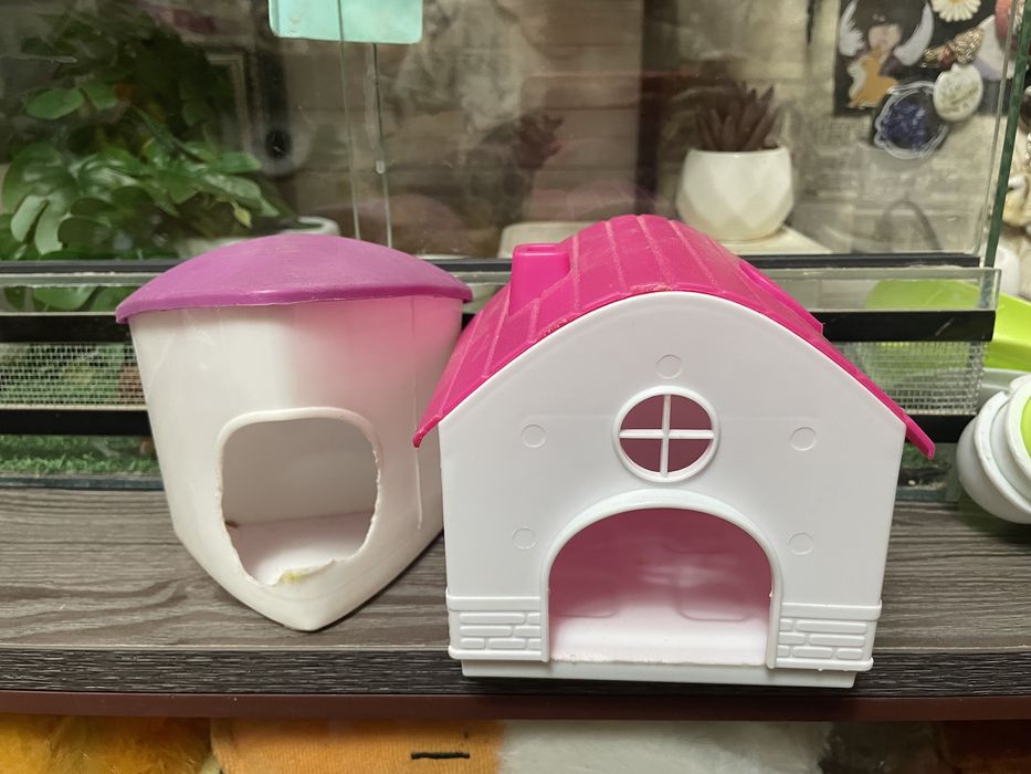 Для хомяка атрибуты