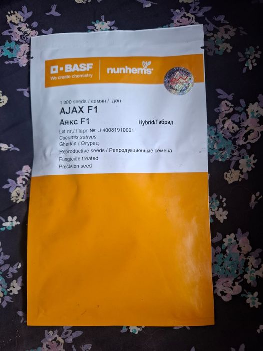 Семена огурцов аякс альянс