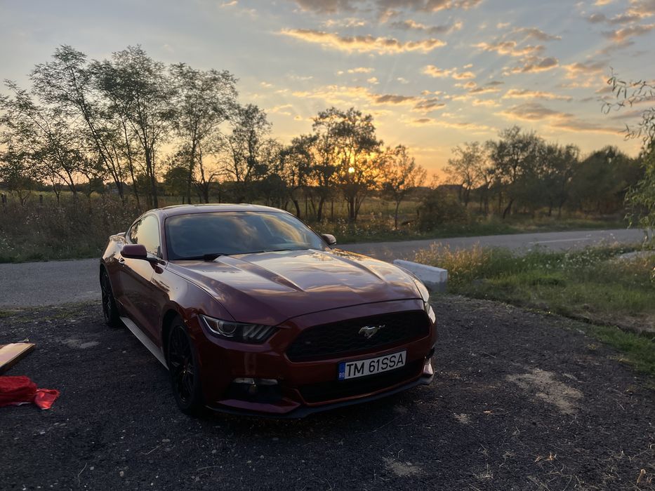 FORD Mustang 0 — imagine 4