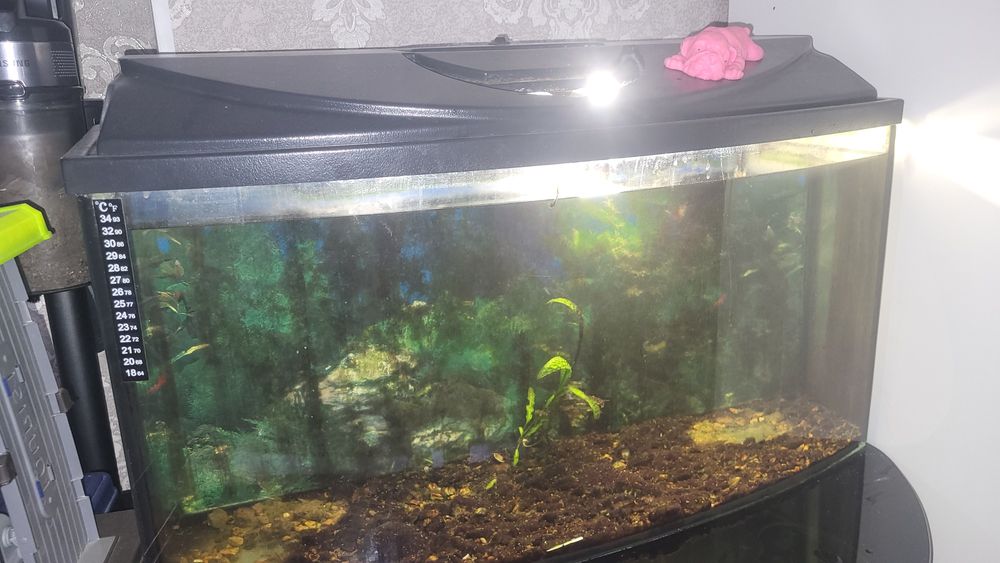 Продам аквариум 80л.