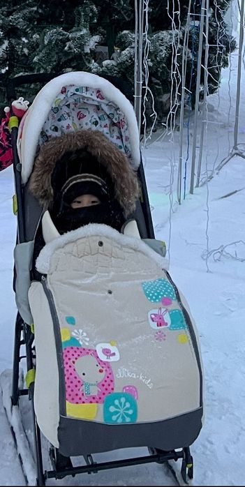 Сани коляска Nika