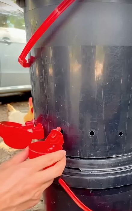 Поилки за домашни птици 10 бр