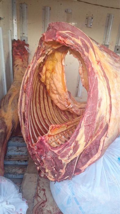 Баитал распродажа согым мясо