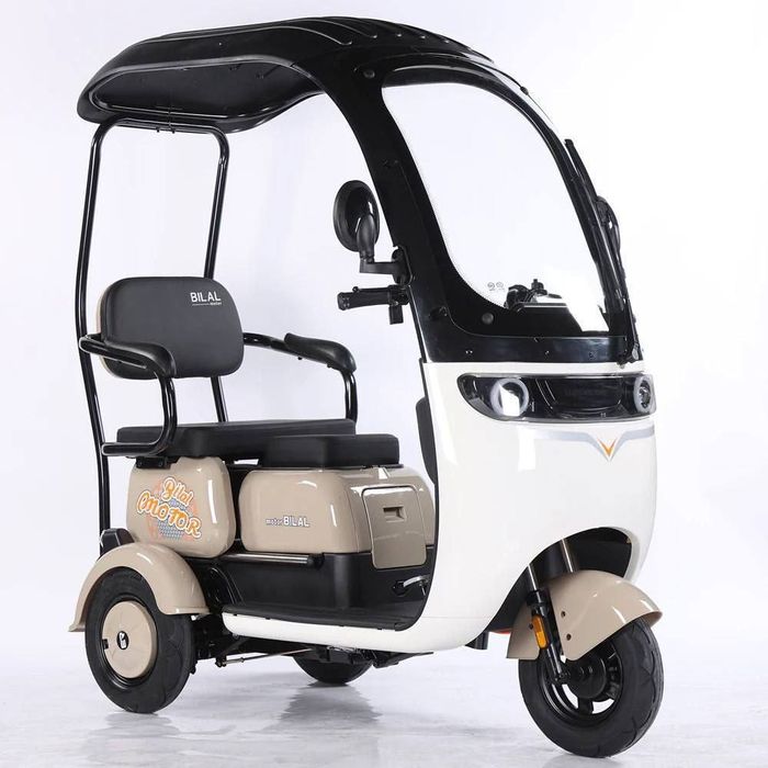 Трицикл с кабиной