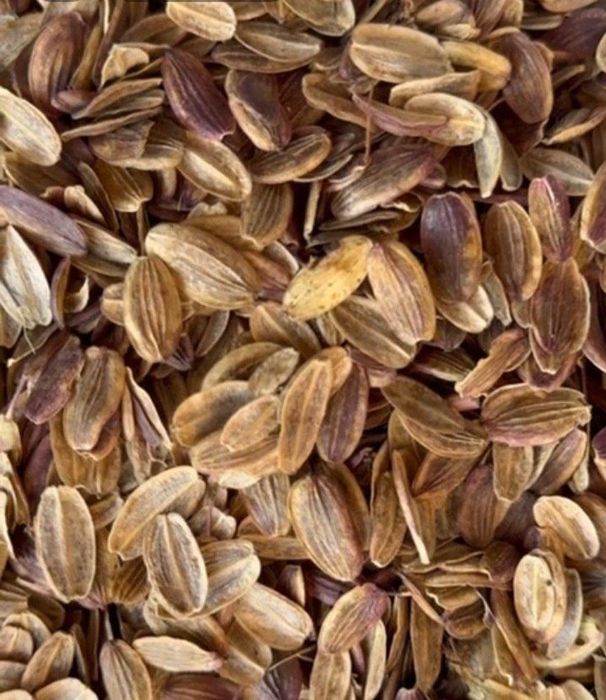 Kovrak urug arginali