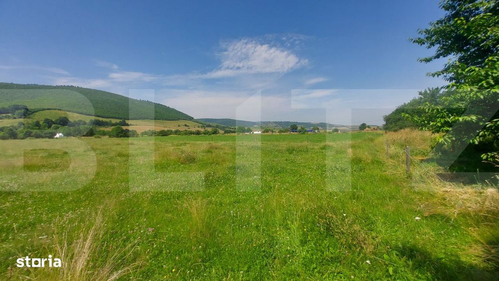 Casa + teren intravil, 3.6 ha I Zagon I Potential turistic si investit