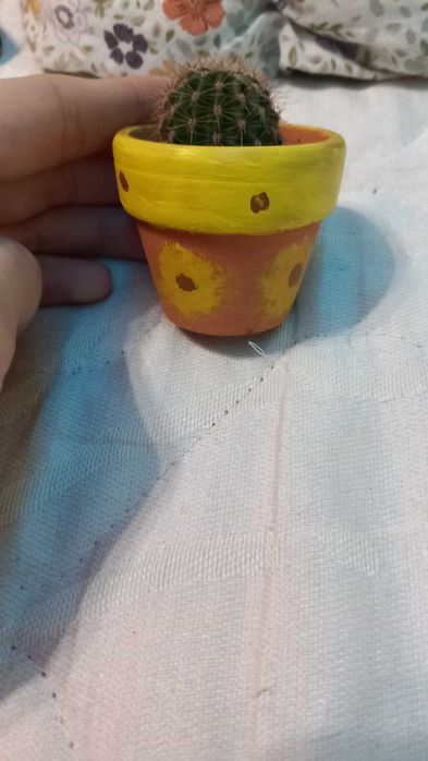 Керамична саксия с жив кактус