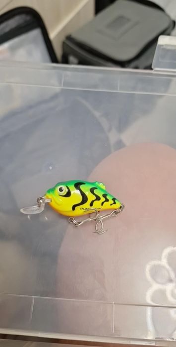 Voblere noi...rapala salmo yozuri