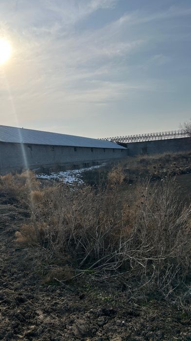 Жер сатамын 2,5 гектар