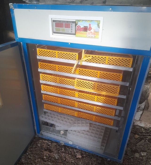 Инкубатор сотилади. 1000 талик