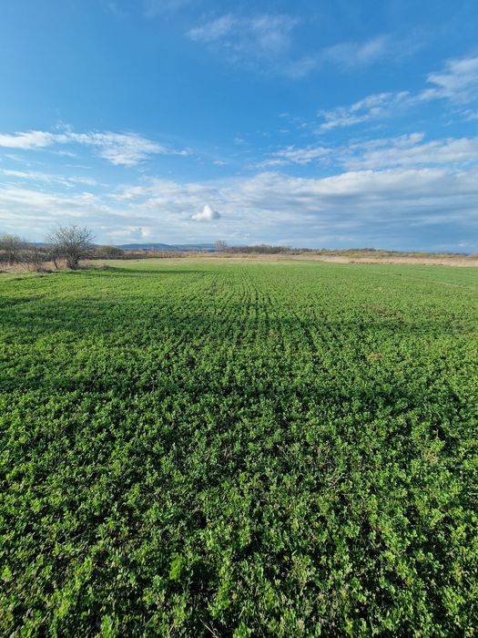 De închiriat în Prejmer, în apropiere de Brașov